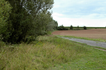 Ein Weg entlang einer grünen Wiese, daneben ist ein Feld