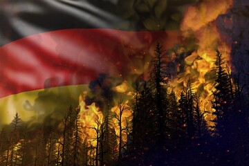Forest fire fight concept, natural disaster - burning fire in the woods on Germany flag background - 3D illustration of nature
