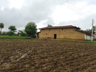 rural landscape with a house