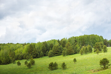 Wooded high mountains extend into the distance in taiga.