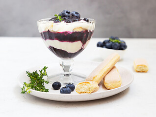Tiramisu. Homemade dessert in glasses with blueberries, cream and ladyfingers garnish with blueberries and thyme. Light grey stone background.