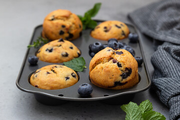 Freshly baked blueberry muffins with thyme and mint in a muffin tin. Grey background.