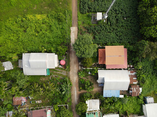 Top view A village surrounded by trees
