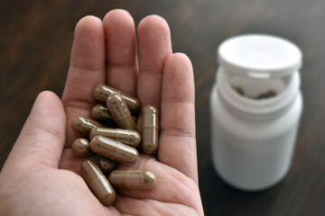 Herbal supplement capsule in hand with copy space on the right side.  Lingzhi or Reishi mushroom...
