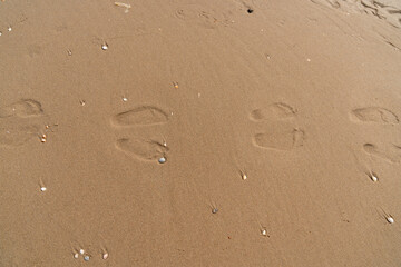 Fototapeta na wymiar Fußabdrücke im Sand 5. Footprint in sand