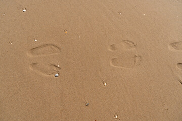 Fototapeta na wymiar Fußabdrücke im Sand 6. Footprint in sand