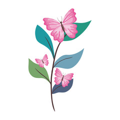 pink butterflies on leaves design, Insect animal wings nature summer beauty fly and spring theme Vector illustration
