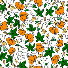 Fototapeta na wymiar Seamless pattern with pumpkins on white background. Hand drawn vector illustration. Healthy vegetables concept, autumn concept, Thanksgiving concept