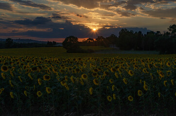 Sunset in Castelnaudary