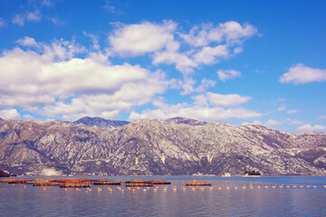 Fototapeta na wymiar Winter Mediterranean landscape. Montenegro, view of Kotor Bay. Blue sky and beautiful clouds, fish farm, two small islands in distance