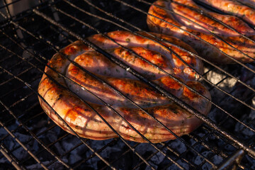 Grilled round sausages