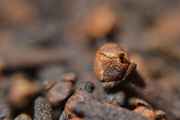 Cloves: a type of spices with distinct flavor and scent. Blur surrounding are intentional for aesthetic value.