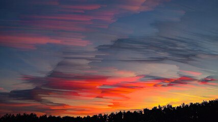 Sunset and forest. Watercolor style image with sky.