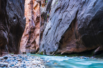 beautiful of narrow in the afternoon  in Zion National park,Utah,usa.