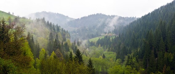 Top view on Zlatibor, green forest, and small houses on hills in summer in misty weather in Serbia.