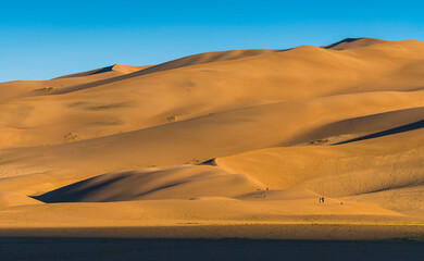 Great sand dune national park  at sunrise,Colorado,usa.