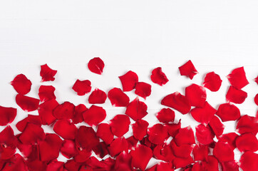 Rose petals on white wooden background