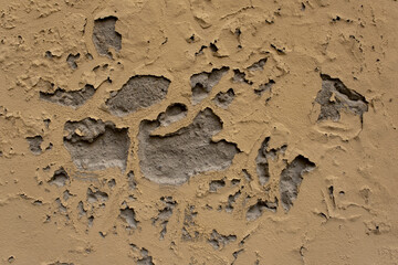 old cracked damaged plaster wall texture