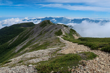日本の百名山の白馬岳の登山道