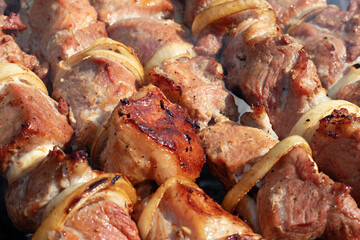 Pieces of juicy marinated meat roasting on a skewer over an open fire, selective focus. Cooking meat outdoors.