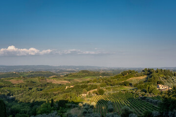 Fototapeta na wymiar Tuscany sunny landscape. Typical for the region tuscan farm house, hills, vineyard. Italy