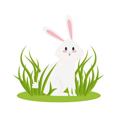 Cute white rabbit cartoon on green grass design, Animal life nature and character theme Vector illustration