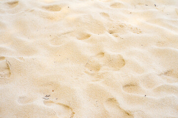 sand backgrounders