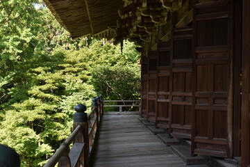 Fototapeta premium 日本の古くて美しい建物