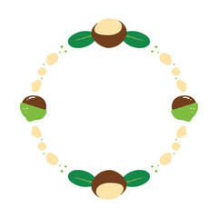 Cartoon style round vector frame, card template with macadamia nuts and green leaves for healthy food design.