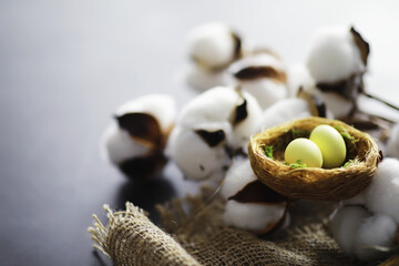 Bird's nest with eggs. Willow branches and first greens. Easter background. Palm Sunday. Christian holiday. Spring background.