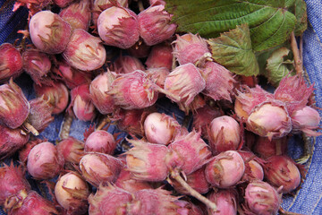 Organic and fresh hazelnuts. Closeup