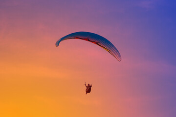 Paraglider flying on the res sky in sunset time in summer day. Cloud clear background.
