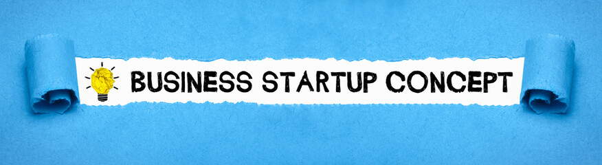 Business Startup Concept 