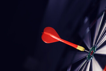 Darts. The dart for playing in the game board is stuck. Hit sector in darts. The concept of a...