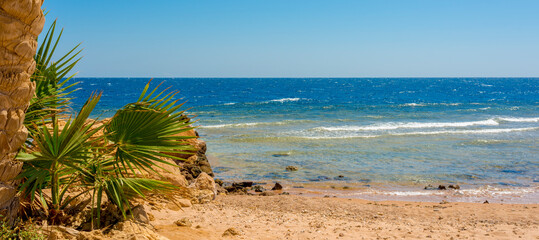  sun-drenched beautiful Red Sea coastline with swaying palm branches, yellow sand and blue water © serhii