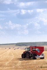 Fototapeta premium Red modern tractor during wheat harvest on cloudy summer day, combine harvesters are on background in work