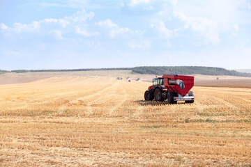 Red modern tractor with trailer during wheat harvest on wheat field, combine harvesters are on background in work