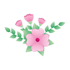 pink flowers with leaves design, natural floral nature plant ornament garden decoration and botany theme Vector illustration