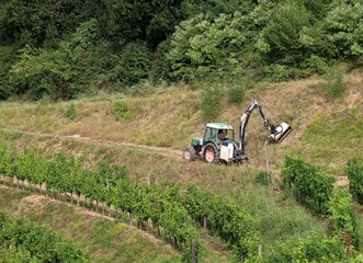 Tractor mounted hydraulic brush cutter at work in a summer day on a country road at the edge of the vineyards