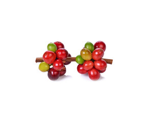  coffee beans isolated on white