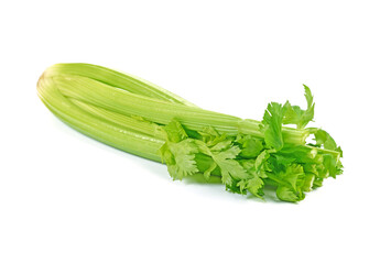 Celery isolated on white background