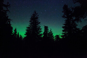 Naklejka premium A dark starry night with a Northern lights, Aurora borealis glow on the horizon in Riisitunturi National park taiga forest. 