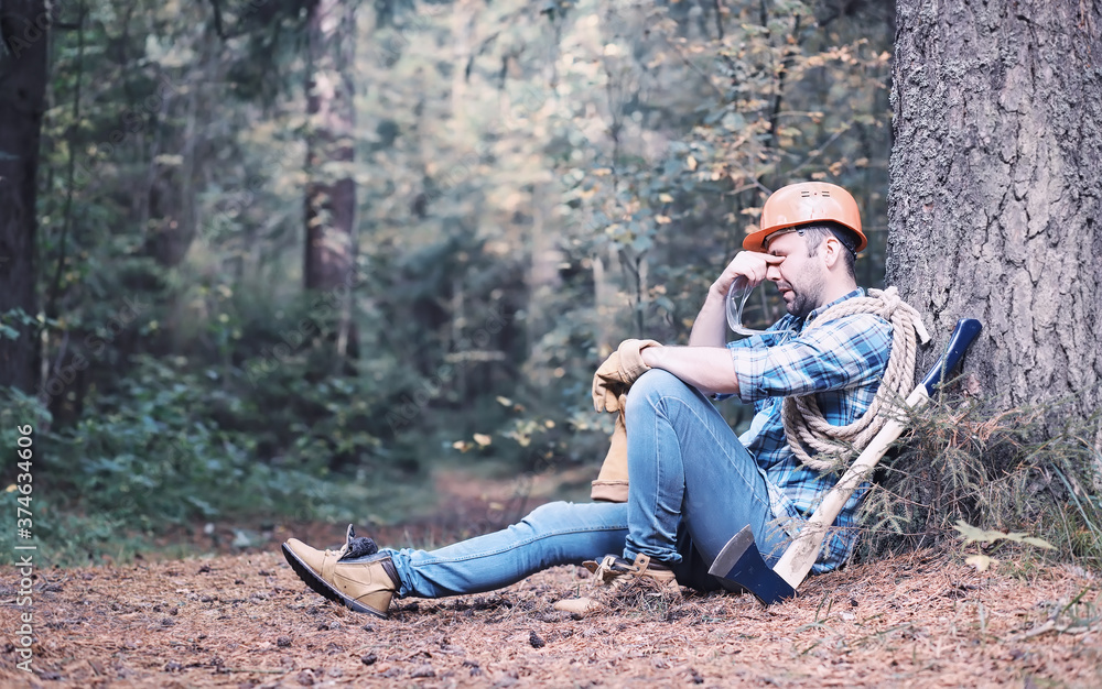 Poster Male lumberjack in the forest. A professional woodcutter inspects trees for felling.