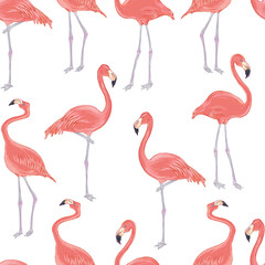 Vector realistic illustration set of pink flamingo bird