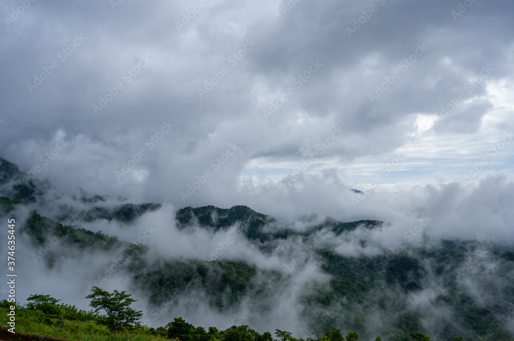 Wall mural mist view on the mountain top, beautiful morning