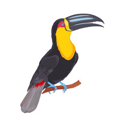 Realistic vector hand drawn illustration tropical  toucan bird. Colorful tropic birds isolated on white with watercolor effect © Kamila
