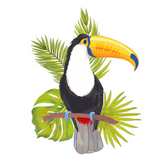 Vector tropical toucan bird with watercolor effect with philodendron, areca palm, fan palm. Colorful tropic background print isolated on white.