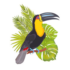 Vector tropical toucan bird with watercolor effect with philodendron, areca palm, fan palm. Colorful tropic background print isolated on white. © Kamila