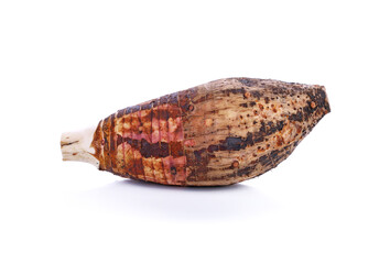 taro isolated on white background