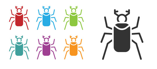 Fototapeta premium Black Beetle bug icon isolated on white background. Set icons colorful. Vector.
